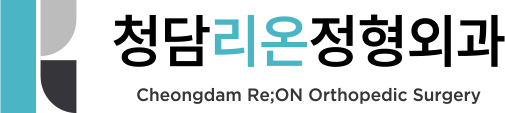 청담리온정형외과